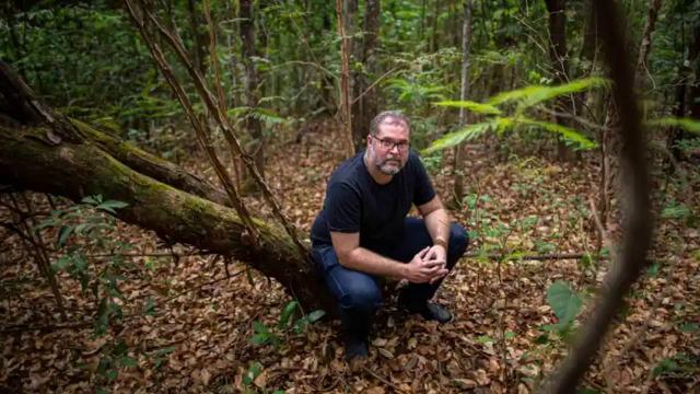 Brezilya polisi İngiliz gazetecinin Amazonlarda öldürüldüğünü doğruladı