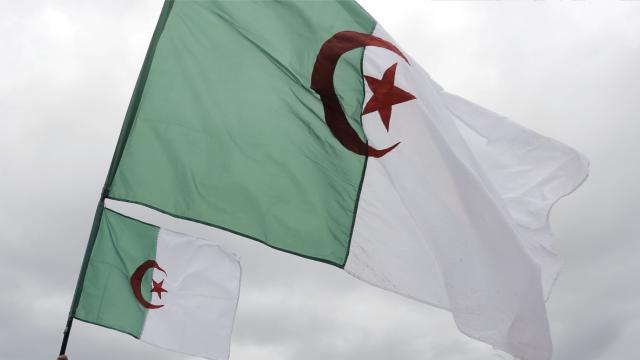 Cezayir ile Mısır arasında 12 iş birliği anlaşması