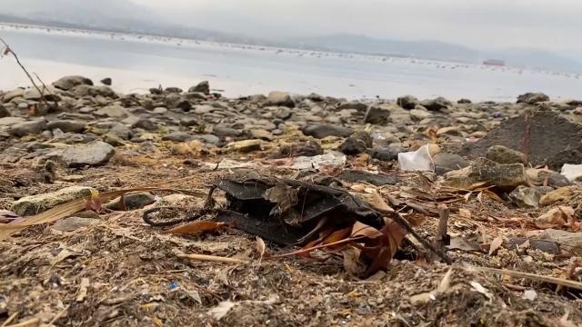 Denizde İstanbul-Artvin arasında 15 farklı plastik türü tespit edildi