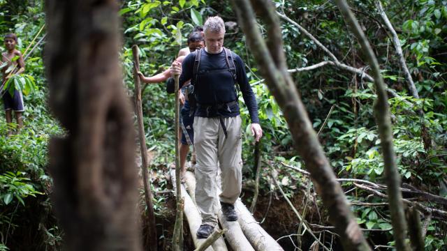 Amazon ormanlarında kaybolan İngiliz gazetecinin cansız bedenine ulaşıldı