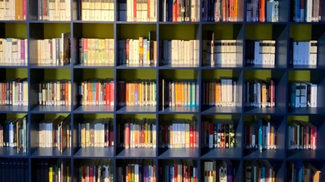 Sinop'ta kütüphane kullanan kişi sayısı arttı