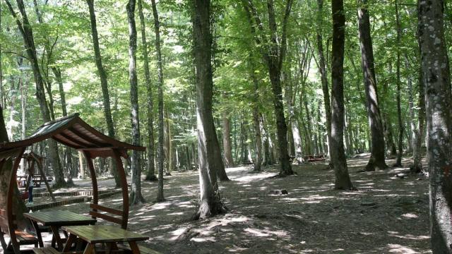 Konya'da ormanlık alanlara giriş çıkışlar yasaklandı