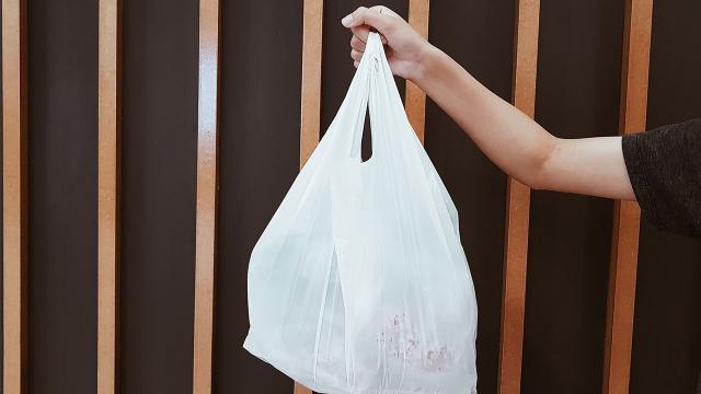 Kanada’da ertelenen plastik poşet yasağı süreci yeniden başlatıldı