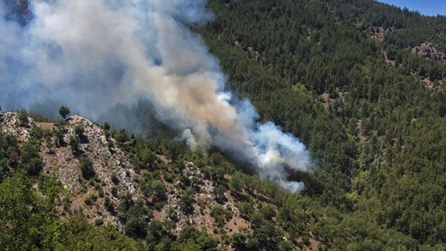 Adana'da orman yangını: 5 helikopter ve 1 uçakla müdahale ediliyor