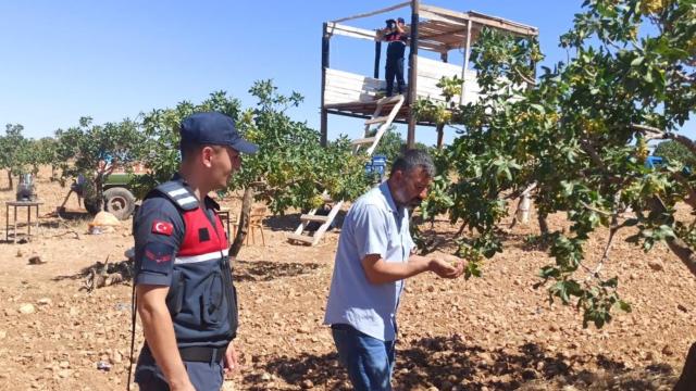 Gaziantep'te Antep fıstığı için koruma tedbirleri artırıldı