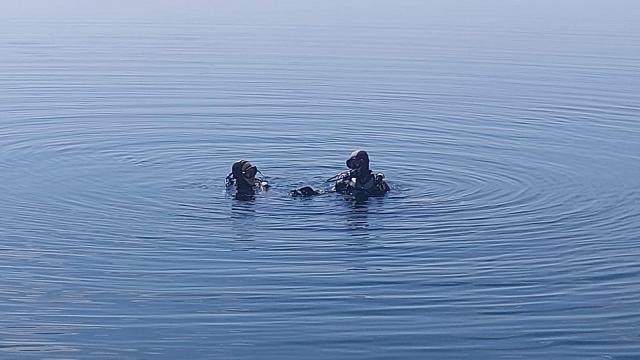 Yalova'da balık avlamak için girdiği denizde kaybolan kişi aranıyor