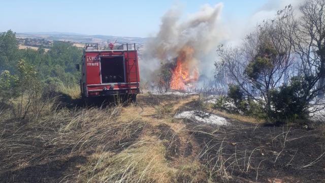 Edirne'de çıkan yangında 2 hektar ormanlık alan zarar gördü