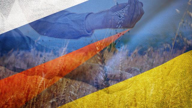 Kremlin: Odessa'daki askeri altyapıya yönelik saldırılar tahıl sevkiyatını etkilemez