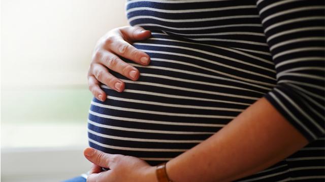 Düzce'deki riskli hamileler telefonla izlenecek
