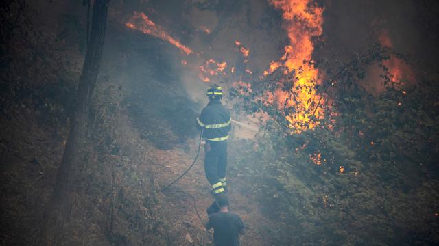 İtalya-Slovenya sınırında orman yangı: 25 aile yerinden oldu