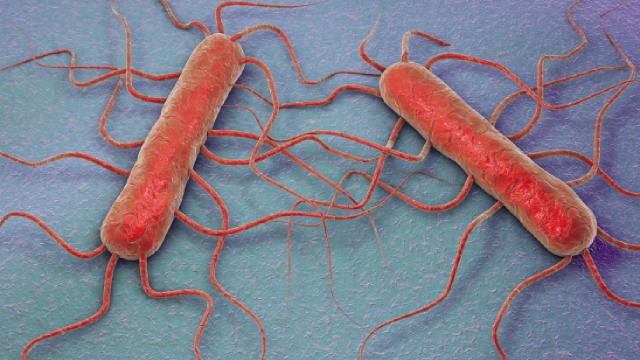 ABD'de 'listeria bakterisi' paniği
