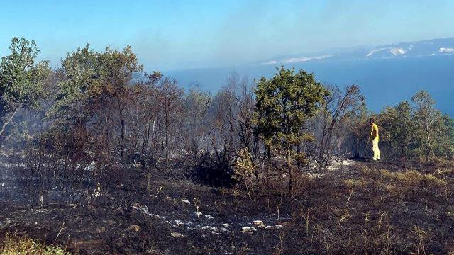 Piknik yaparken orman yangınına neden olan 3 kişi tutuklandı