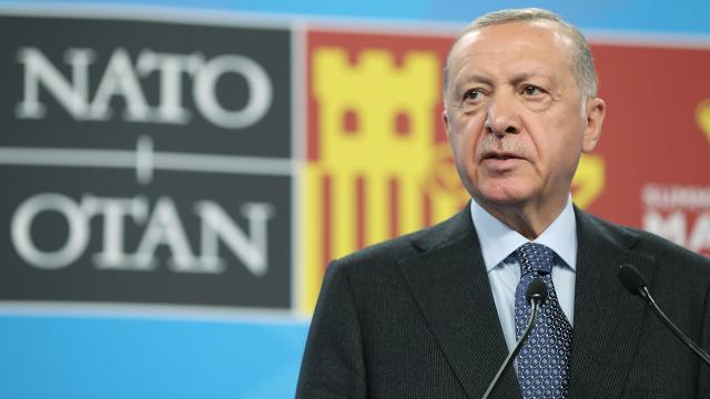 Cumhurbaşkanı Erdoğan'ın NATO Zirvesi'ndeki rolü Yunan basınında