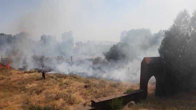 Ahlat'taki tarihi mezarlıkta çıkan yangın söndürüldü