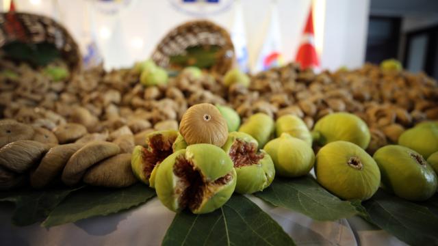 Aydın'da sezonun ilk kuru incirine 350 liralık "sembolik fiyat"
