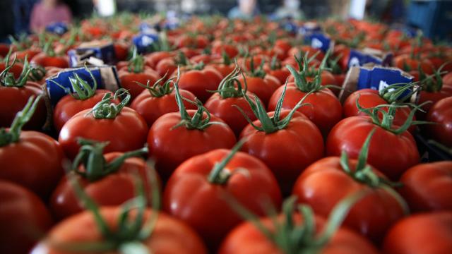 Türkiye'den 155,2 milyon dolarlık yaş meyve sebze ihracatı