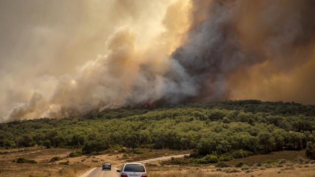 Fas'ta orman yangınını söndürme çalışmaları sırasında 3 itfaiyeci öldü