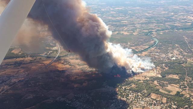 Fransa'da yangın: 370 hektar alan kül oldu