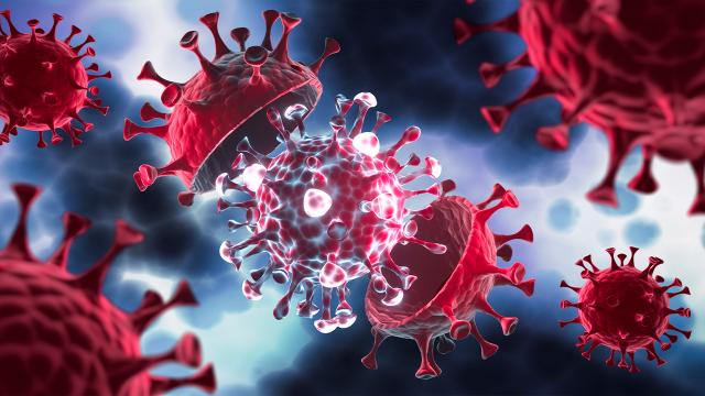 Koronavirüs vaka sayılarında düşüş bekleniyor