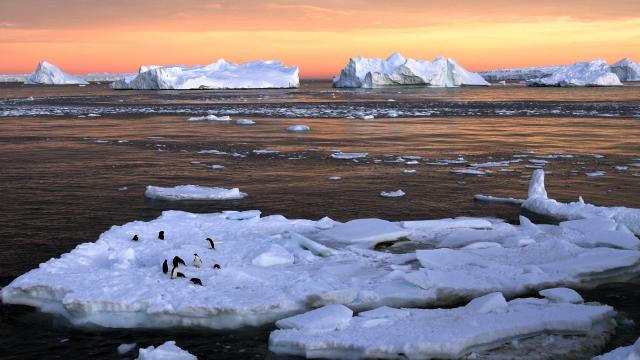 Dünya'daki buzullar beklenenden daha hızlı eriyor