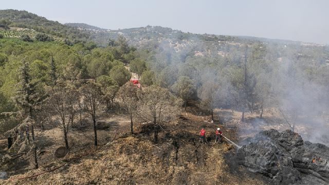Mersin'deki orman yangını kısmen kontrol altına alındı: Müdahale sürüyor