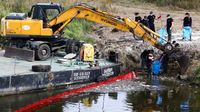 Polonya Oder Nehri'nden 100 ton ölü balık çıkardı