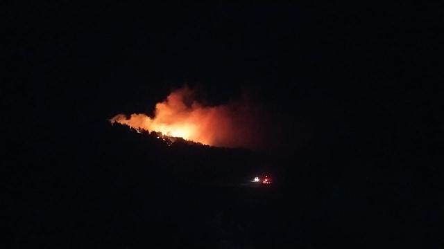 Bulgaristan'ın Türkiye sınırı yakınında yangın çıktı