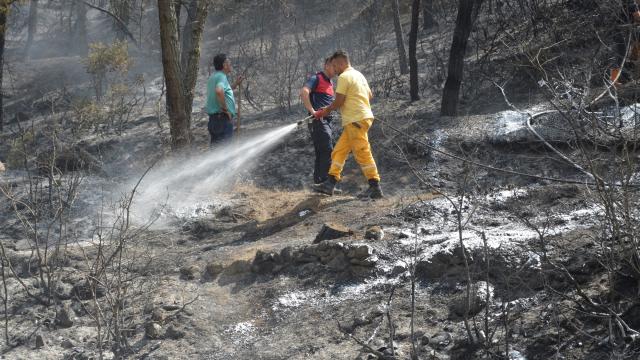 Tokat'taki orman yangınında 5 dönümlük alan zarar gördü