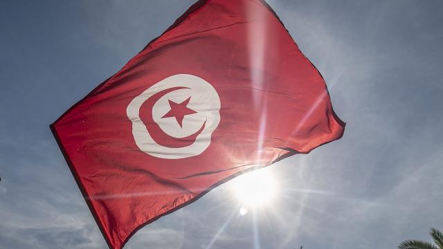 Tunus'ta anayasa referandumunun kesin sonuçları açıklandı