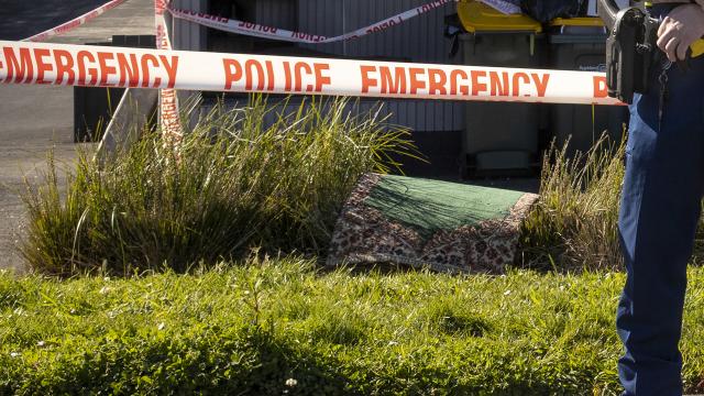 Yeni Zelanda'da müzayedede alınan bavullardan insan kalıntıları çıktı