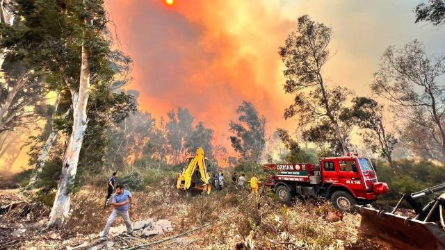 Antalya'daki orman yangını: 15 hektar alan zarar gördü