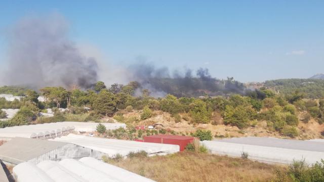 Antalya'nın Kumluca ilçesinde orman yangını