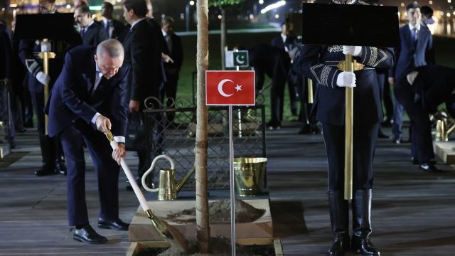 Cumhurbaşkanı Erdoğan, ŞİÖ Zirvesi'ne katılan liderlerle ağaç dikme törenine katıldı