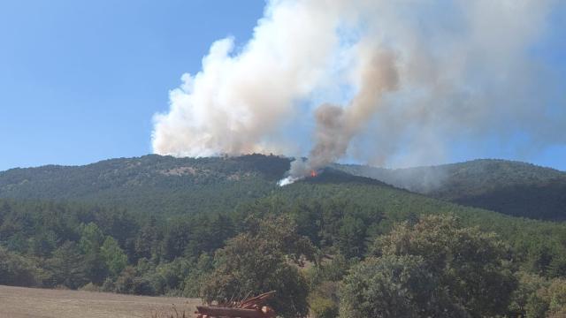 Eskişehir'de orman yangını: Havadan ve karadan müdahale ediliyor