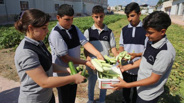 Hatay'da öğrencilerin okul bahçesinde yetiştirdiği sebzeler mahallelinin sofrasında