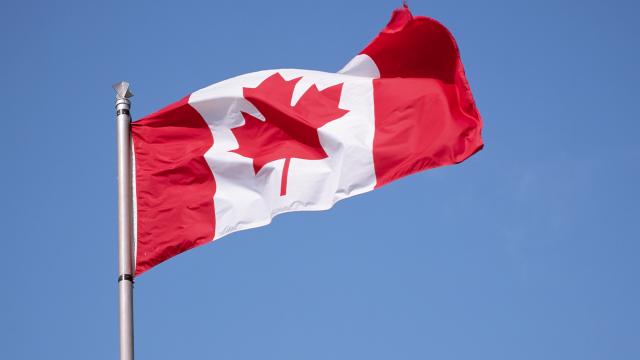 Kanada'da 407 ordu mensubu aşı olmayı reddettiği için ihraç edildi