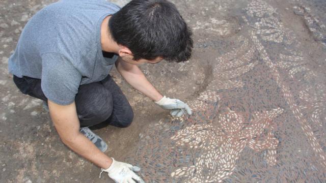 Sinop'ta Helenistik Döneme ait yeni mozaiklere ulaşıldı
