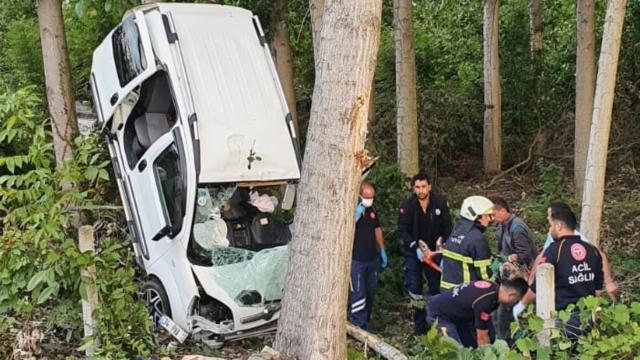 Ticari araç ağaca çarptı: 4 yaralı