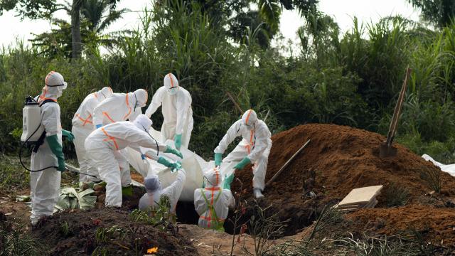 Doğu Afrika ülkelerine çağrı: Ebola salgınına karşı önlem alın