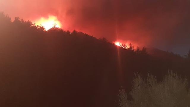 Bakan Kirişci: Marmaris'teki orman yangını kontrol altına alınmak üzere