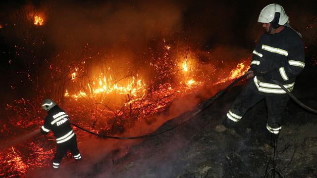 Manisa'da ağaçlık alanda yangın