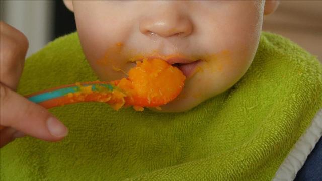 Bebeklere yönelik gıda ve devam formüllerinin üretimine düzenleme