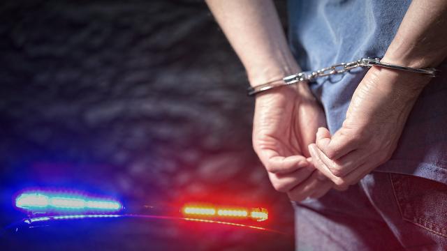 Van'da çeşitli suçlardan aranan 19 kişi tutuklandı