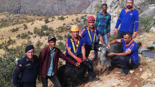 Adıyaman'da sarp kayalıklarda mahsur kalan 2 keçi kurtarıldı