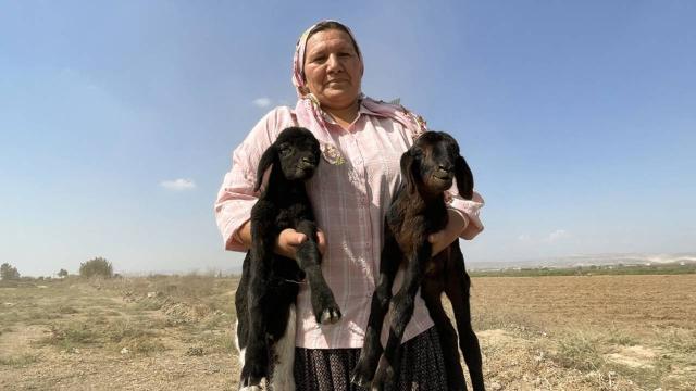 Koyun yetiştiricisi kadınlar ıslah projesiyle bilinçlendi