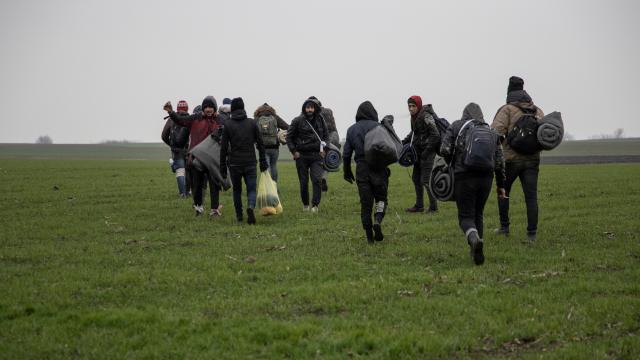 Sırbistan polisi, Macaristan sınırında 200 göçmen yakaladı