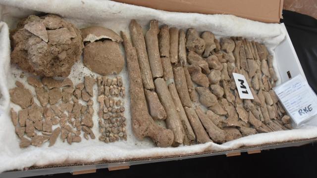Yassıtepe kazılarında Miken Uygarlığı'na ait mezar alanı bulundu