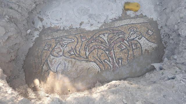 Manisa'da kaçak kazı yapanlar mozaiği çıkarırken yakalandılar
