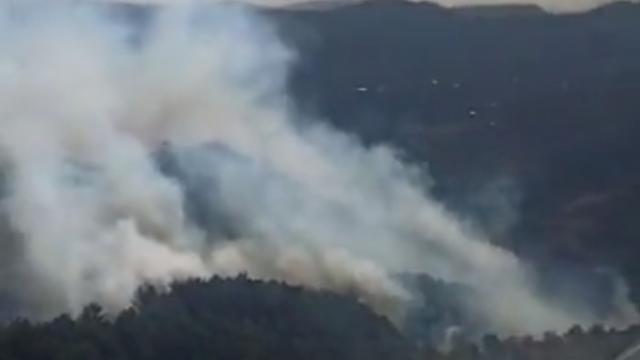 Bergama'da orman yangını: Havadan ve karadan müdahale ediliyor