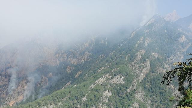 Osmaniye'de orman yangını: Havadan müdahale sürüyor